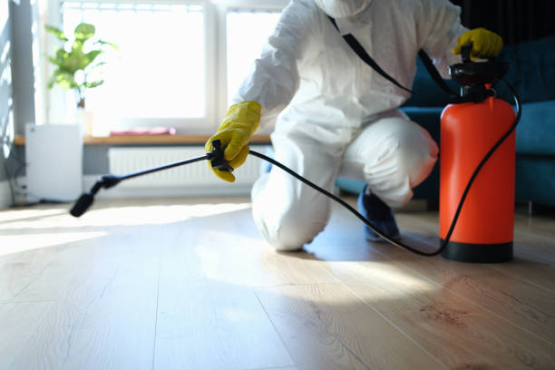 Reliable Odor Removal contractor in Urbana, IL by Trauma Clean Pros